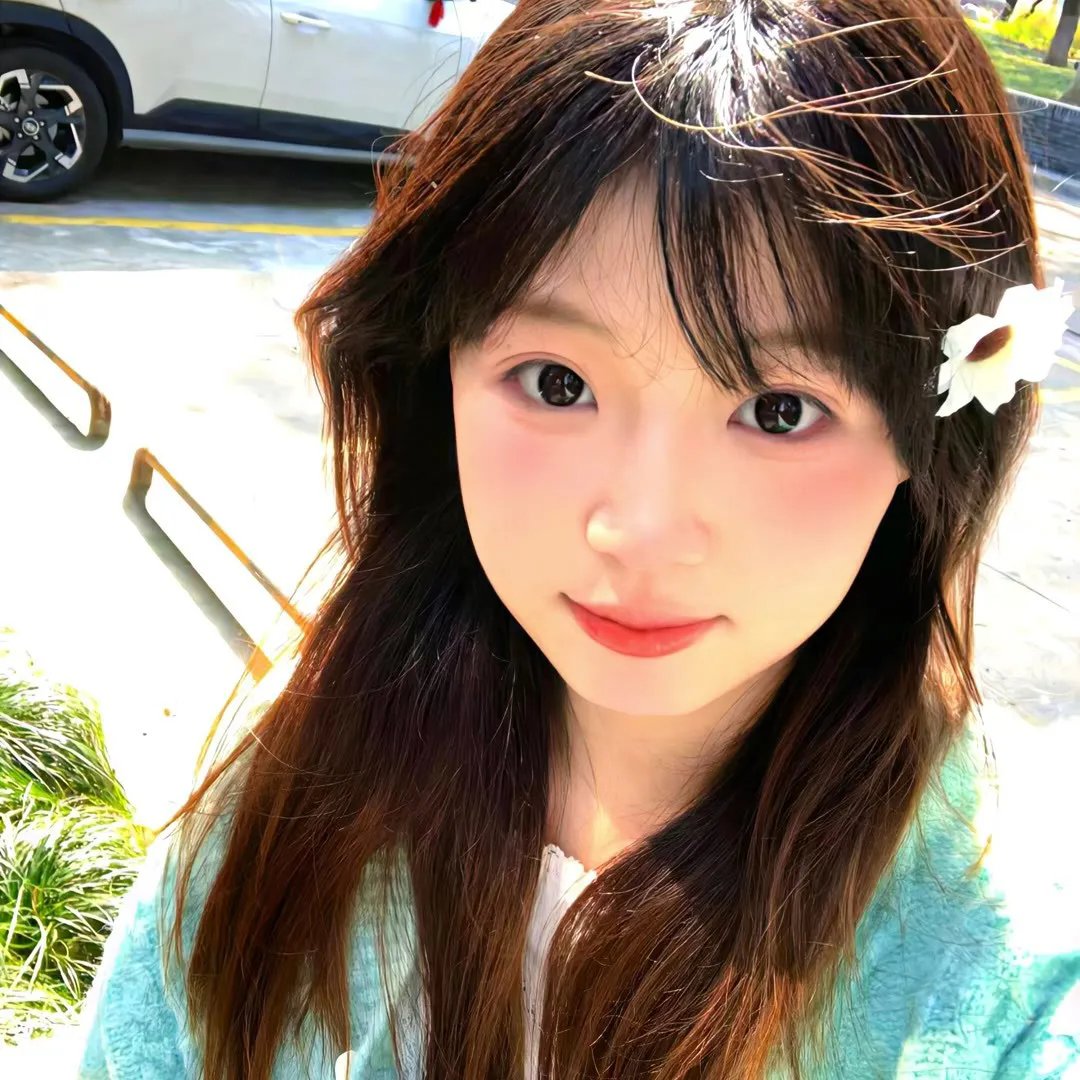 孔雀诡计